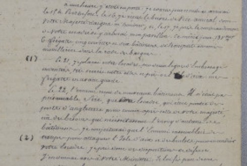 Notes du capitaine de vaisseau Lucas, commandant Le Regulus, en réaction à la copie du rapport fait par le vice-amiral Allemand, commandant de l’escadre, à l’Empereur.